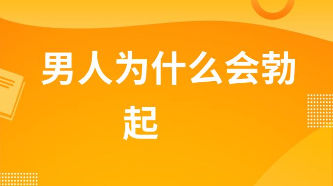 男人为什么会勃起?男性勃起的因素有哪些