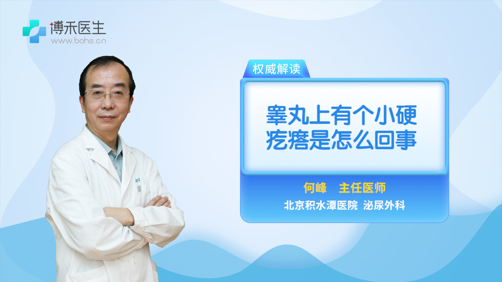 睾丸上有个小硬疙瘩怎么回事