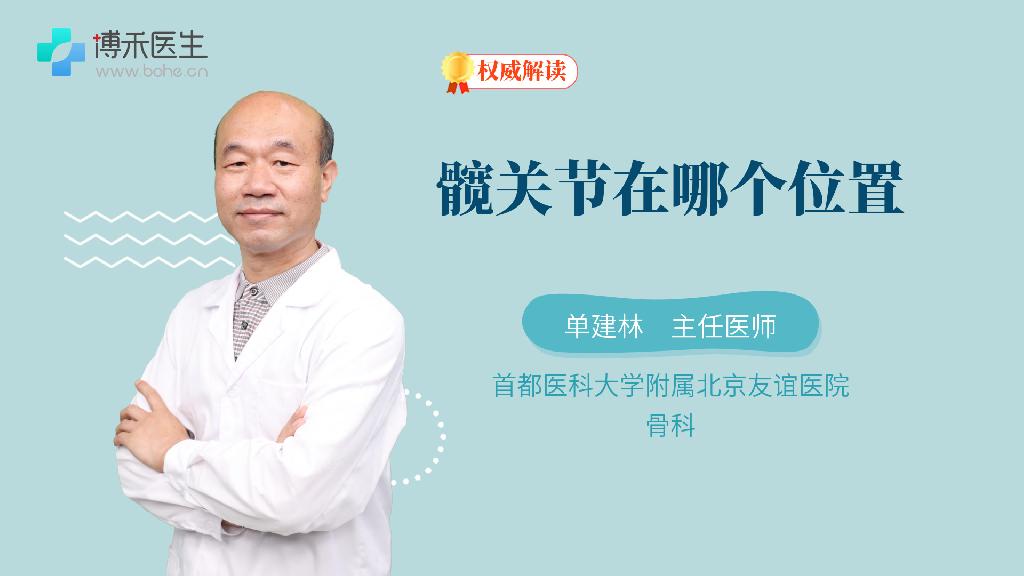 髋关节在哪个位置