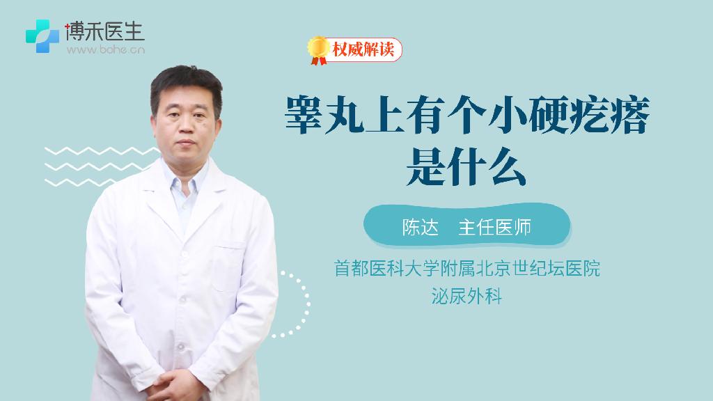 睾丸上有个小硬疙瘩是什么