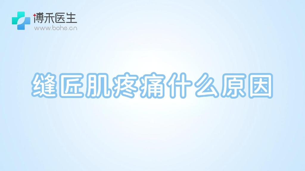 缝匠肌疼痛什么原因