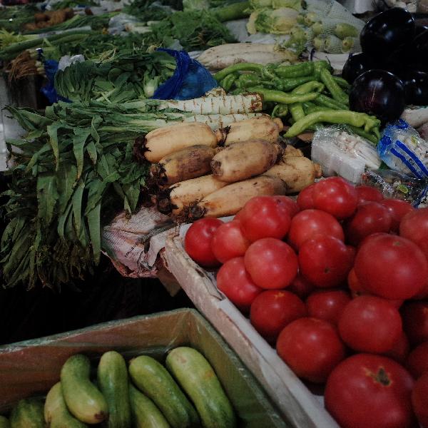 蔬菜是绿色食品还是绿色植物