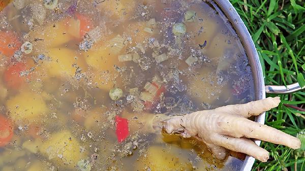 产后鸡汤怎么炖最营养又下奶