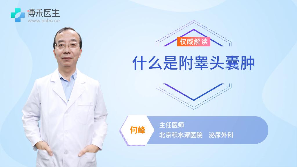什么是附睾头囊肿
