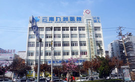 云南九洲医院