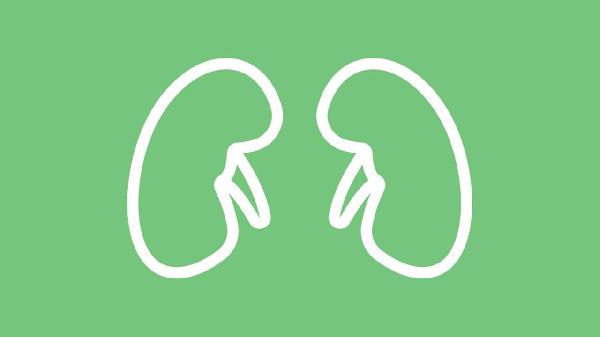 肾错构瘤血肿要卧床多久可以恢复