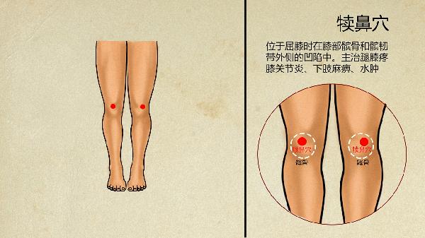 治疗斑秃的中医配方是什么