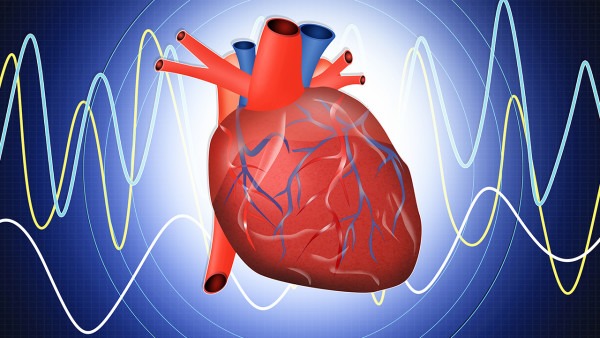 上海德达医院专家呼吁：重视心血管病筛查，科学守护心脏健康