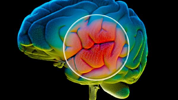 天天做梦对大脑有损害吗?科学解答在此
