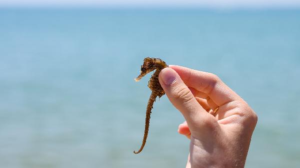 寒湿体质怎么调理能彻底根治