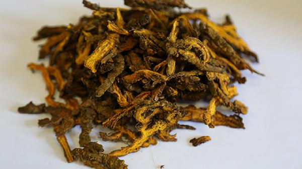 岩黄连的功效与作用有哪些