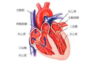 心脏有早搏的人能喝咖啡吗